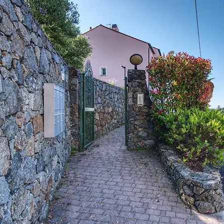 Zafferano - Mirto Celle Ligure