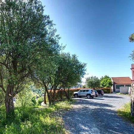 Zafferano - Mirto * Celle Ligure