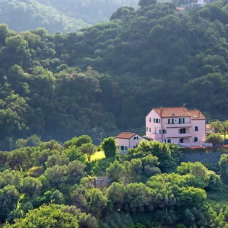 Zafferano - Mirto Celle Ligure