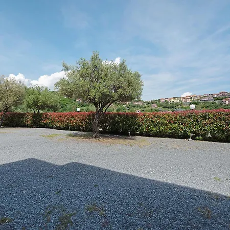 Zafferano - Mirto Celle Ligure